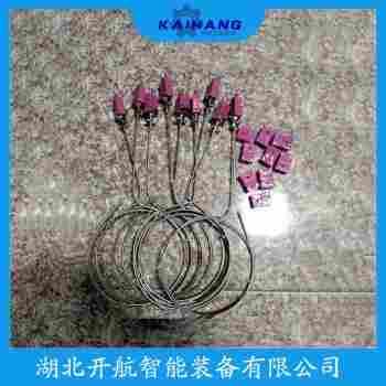 铠装热电阻WZP2-321 参数规格