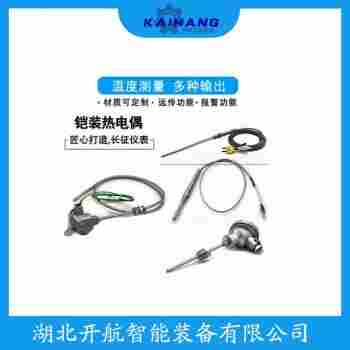 铂铑热电阻NZP2-331 维护建议