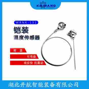 铂铑热电阻WZPK-165 产品特点