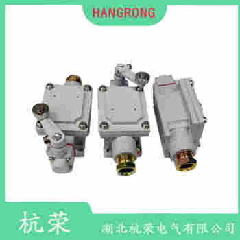 滚轮摆臂型行程开关 D4C-3032-DK1EJ03 杭荣