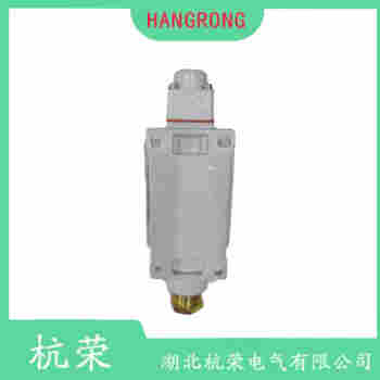 叉形摆臂型行程开关 YBLX-44/10 杭荣