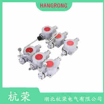 滚轮摆臂型行程开关 LX510-31 杭荣
