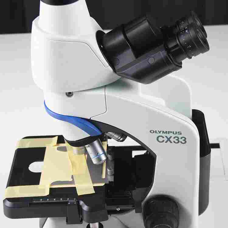 Olympus超声波探伤仪