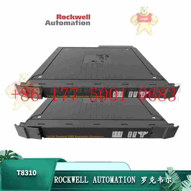 T9110罗克韦尔ICS TRIPLEX T9110罗克韦尔ICS TRIPLEX