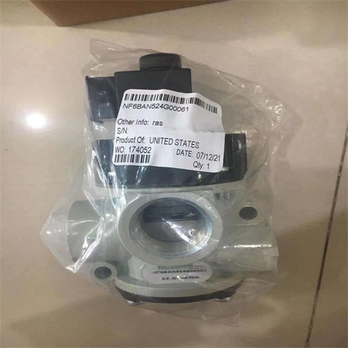 清洁维护ASCO阿斯卡电磁阀NF8327B112 24VDC