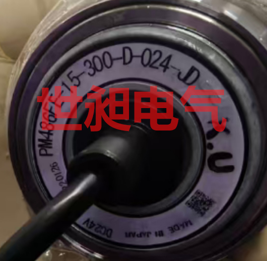 日本ITOH DENKI伊东电机PM486FE-17-300-D-024-JD