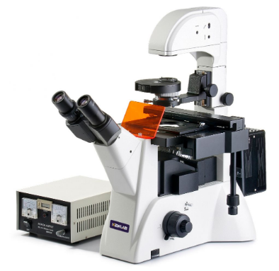KEWLAB IFM-2 倒置荧光显微镜