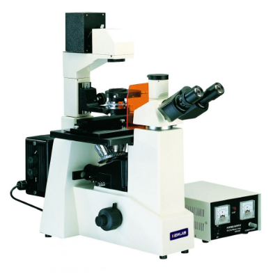 KEWLAB IFM-1 倒置荧光显微镜